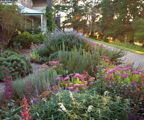 Flower garden with house exterior in the background
