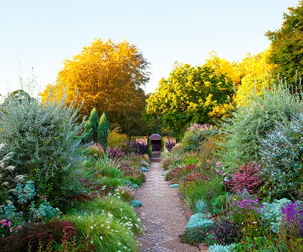 Autumn garden with a gravel pathway, various colorful plants, and trees with yellowing leaves under a clear sky.