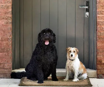 Evanslea: luxurious, dog-friendly accommodation in Mudgee, NSW