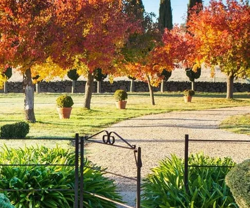 Red wellies and a white spade in the garden