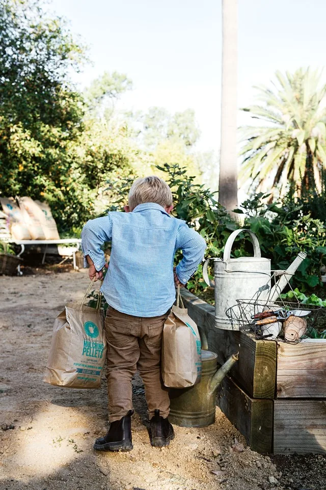 little boy helping with gardening
