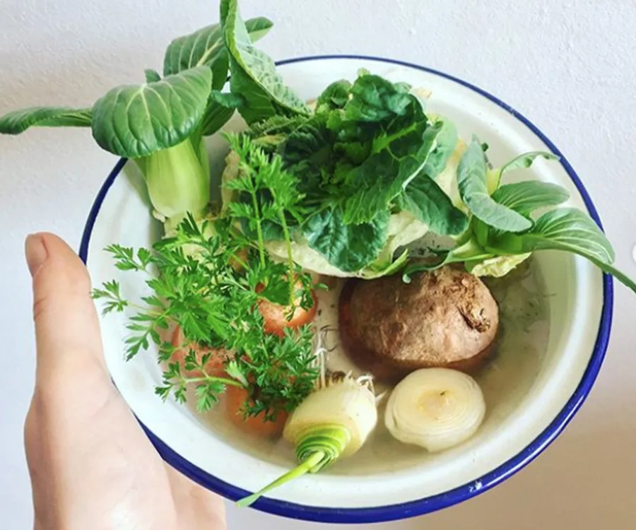 grow vegetable scraps