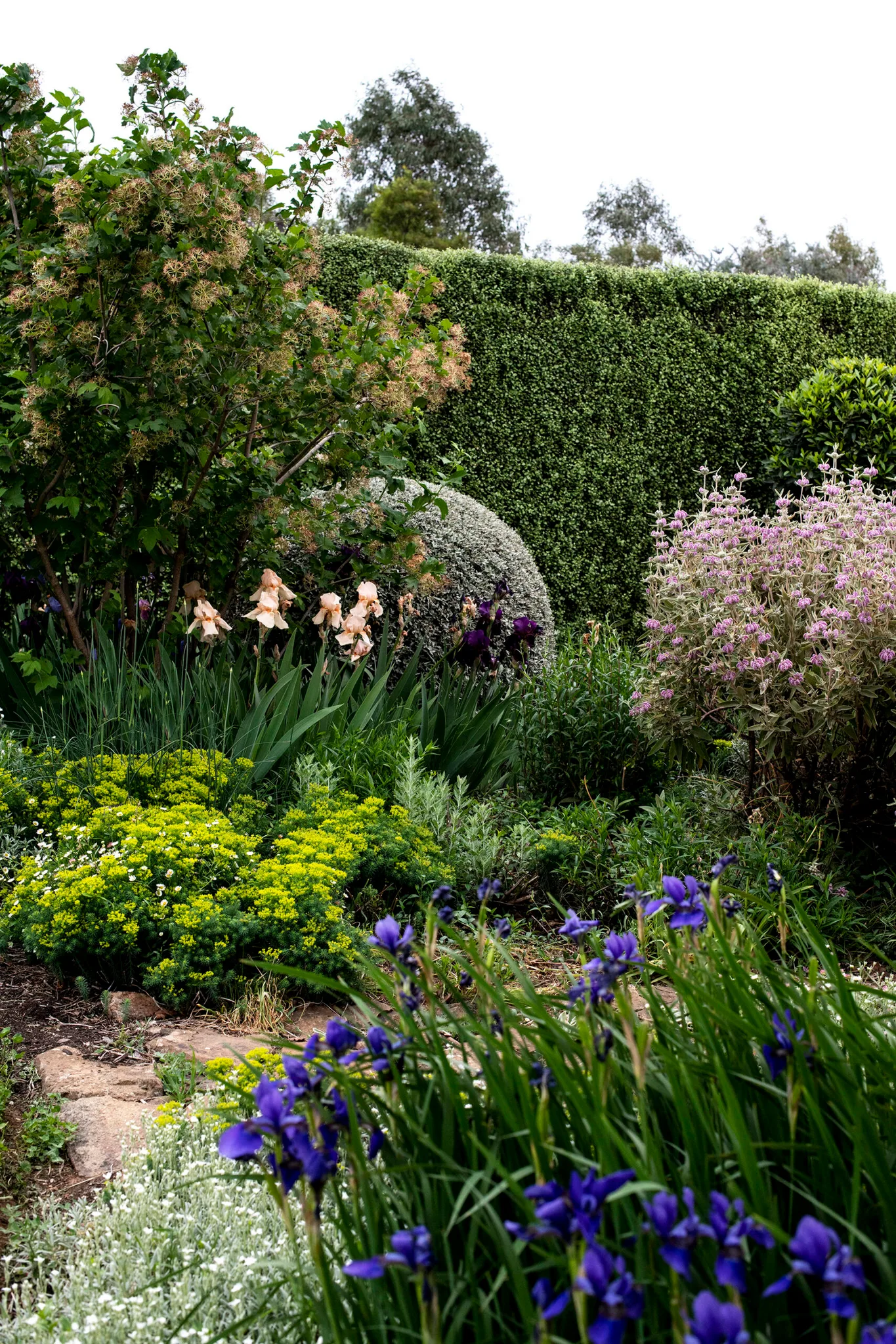 Rural NSW garden blends formal and natural elements | Homes To Love