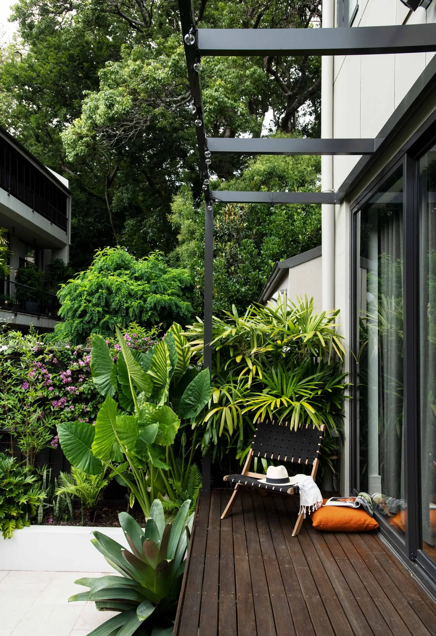 A lush inner-city courtyard garden transformation in Sydney