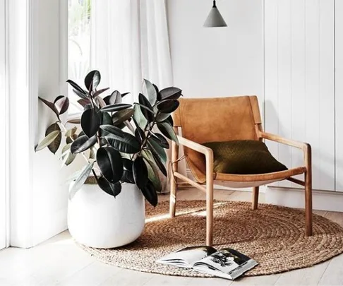 best indoor plants for winter