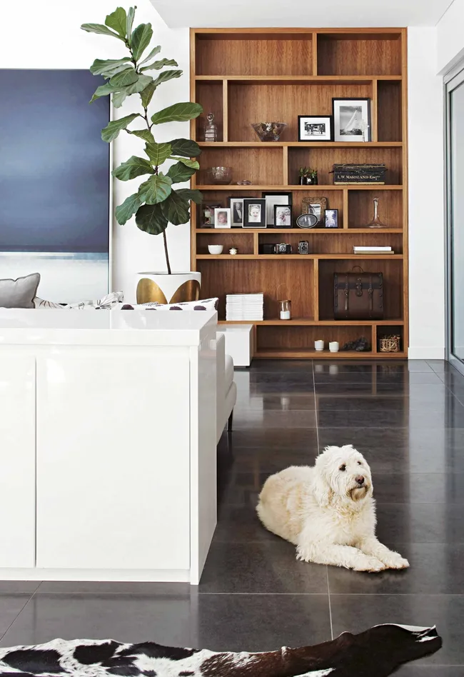 A contemporary house in Noosa with a family-friendly design