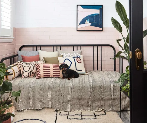 pet damage in the home