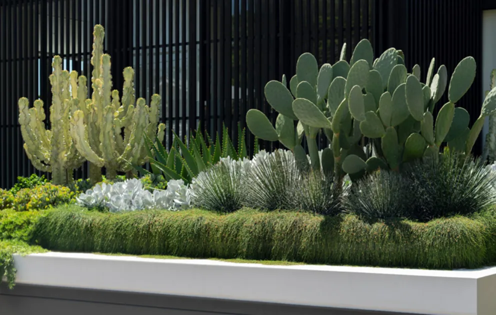15 Succulent Gardens That Will Inspire