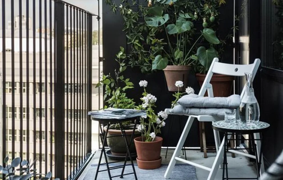 How to create a lush balcony garden