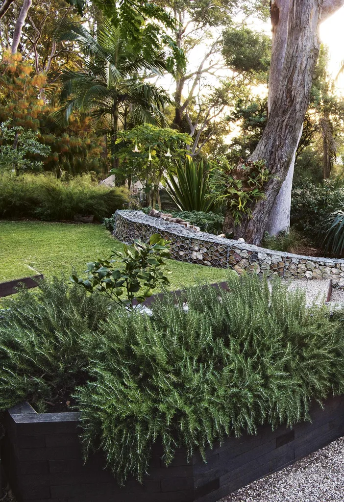 Picture of Textured Coastal Garden Filled with Native Plants | Homes To Love