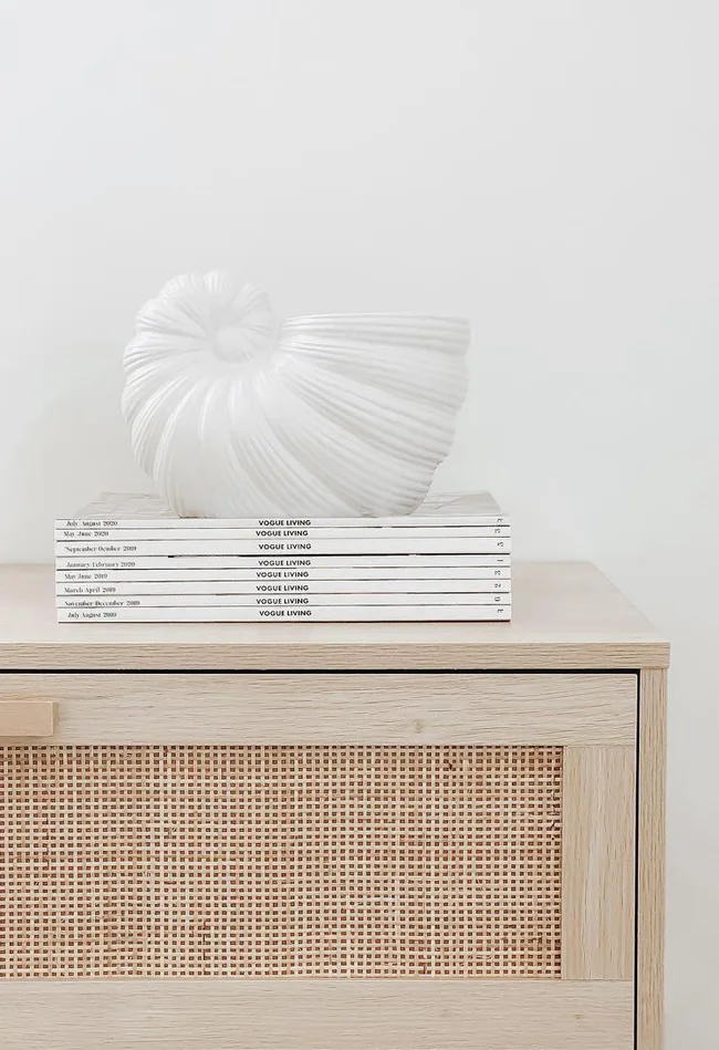 Kmart hack for art out of a beautiful shell planter.