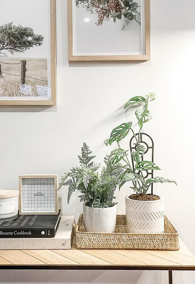 Kmart hack for a plant home using a rattan tray.