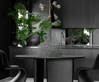 black kitchen design with indoor plants 