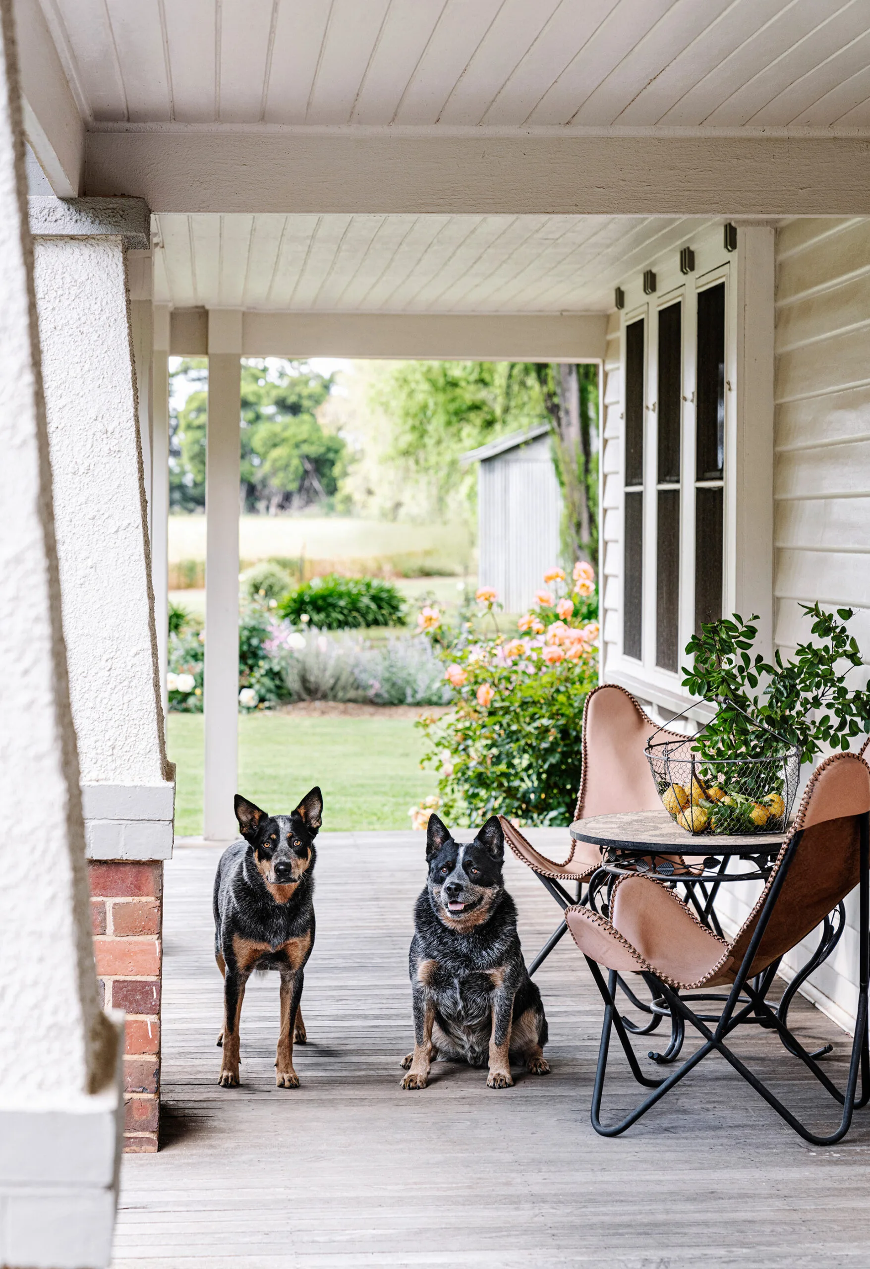 15 charming Australian country homes — free download