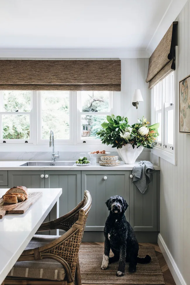 A country kitchen with blue-grey cabinetry. A dog sits in the kitchen.