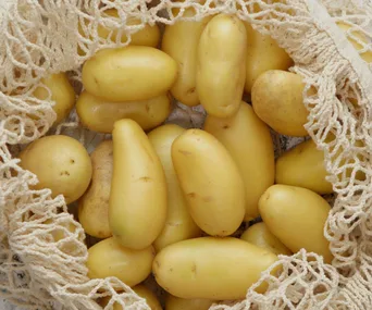 how to grow potatoes