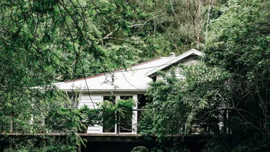 Luxury farmhouse home to Australia’s largest magnolia tree